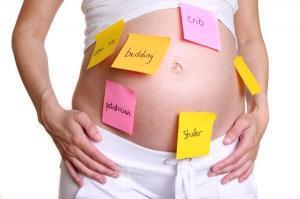 4287_hamile