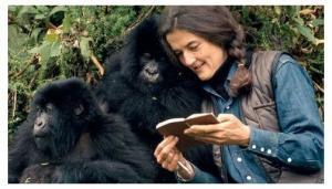 4398_dian_fossey