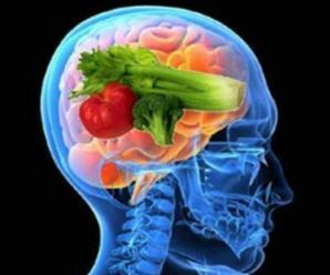Beyin Güçlendirici Besinler Nelerdir?