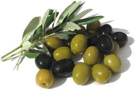 4420_zeytin
