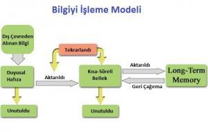 4481_bilgi_isleme_modeli