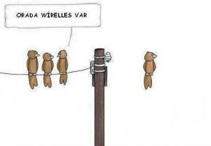 4532_orada-wireless-var-tel-uzerinde-duran-kuslar