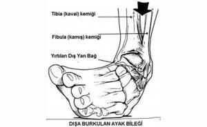 4546_ayak_bilegi