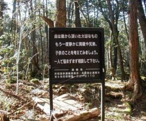 Ölüm Ormanı "Aokigahara"