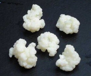 4591_kefir_taneleri-300x251