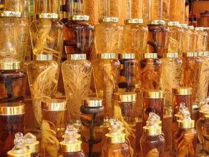 4596_korean-ginseng