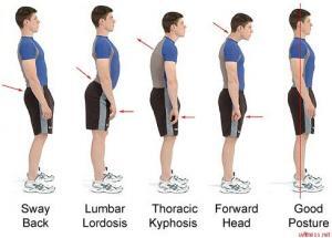 4643_postures1