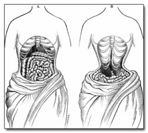 4688_corset3
