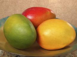 4737_mango