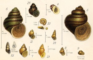 4747_adams081