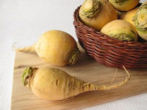 4822_maca