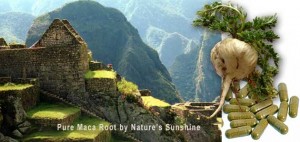 4822_maca_root