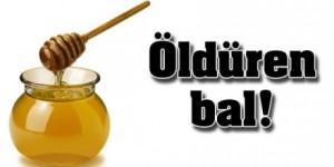 4830_son_kisim