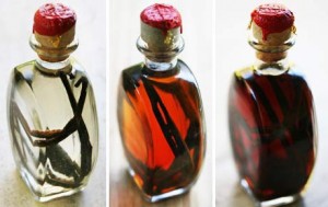 4866_vanilla-extract
