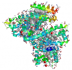 4922_1gnj (1)