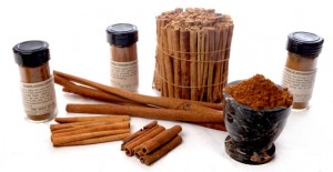 4933_family-cinnamon