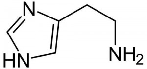 5071_histamine (1)