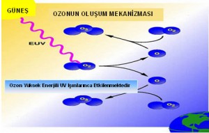 5080_ozon5
