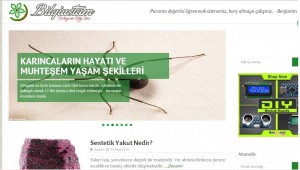 4109_gorun