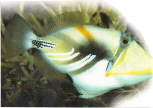 5121_tre