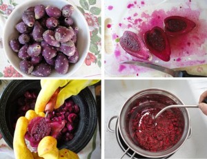 5141_prickly_pear