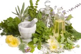 5149_herbs