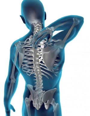 5182_chiropractic (1)