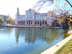5422_cluj-parki