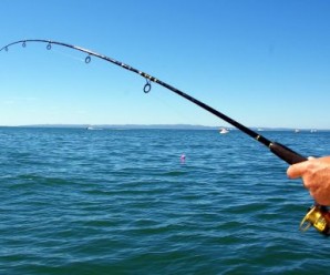 Balık Avlarken Nelere Dikkat Etmek Gerekir?