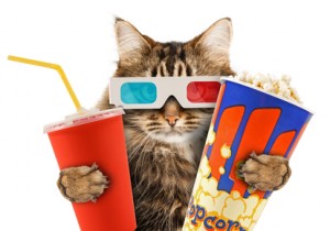 5711_cat_watching_movie