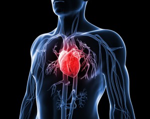 5717_heart-art