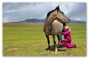 5721_kimiz-kisrak