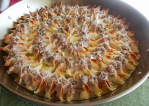 5723_manti_whole_overhead