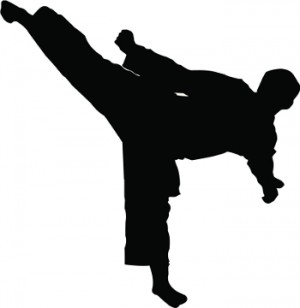 5761_martial-arts-kick
