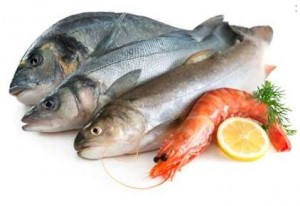 5791_fishhhhh