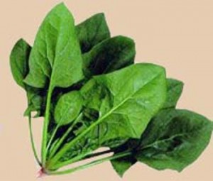 5777_ispanak