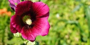 5914_images_(3)