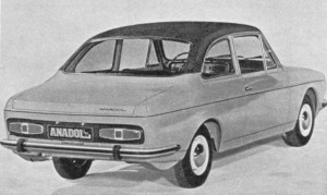 5918_anadol-arka
