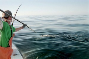 5943_poon_harpoon_kevin
