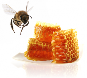 abeja3