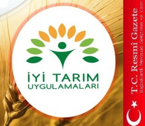 iyitarim