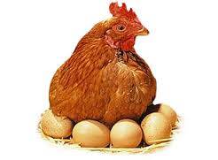 Yumurta Alırken Ve Tüketirken Nelere Dikkat Etmeliyiz?