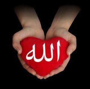 6025_allah_beautiful