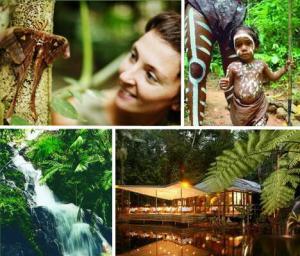 6071_daintree