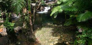 index_2_waterfall