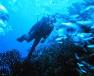6348_scuba_diver1