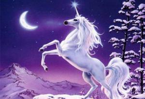 6358_fsnvyrtklr_02_th