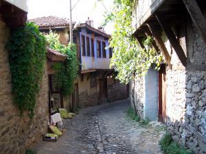 6600_cumali_kizik