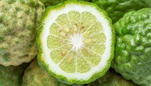 6658_bergamot_nasil_bisey