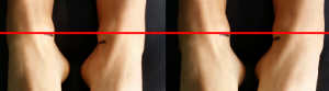 6772_leg